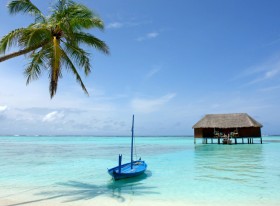 ARTISANS et INDUSTRIELS, SABLE NOIR peut distribuer vos produits dans les DOM - SABLE NOIR CARAIBES